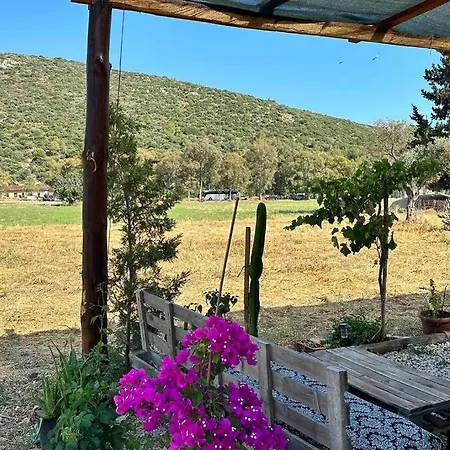 Отель Tiny House Patara Каш