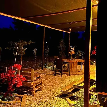 Отель Tiny House Patara Каш