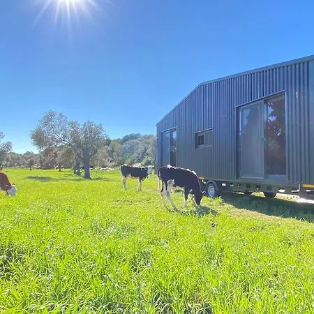 Отель Tiny House Patara